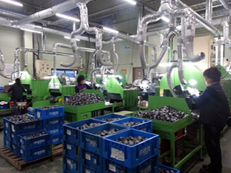 Manual coating line